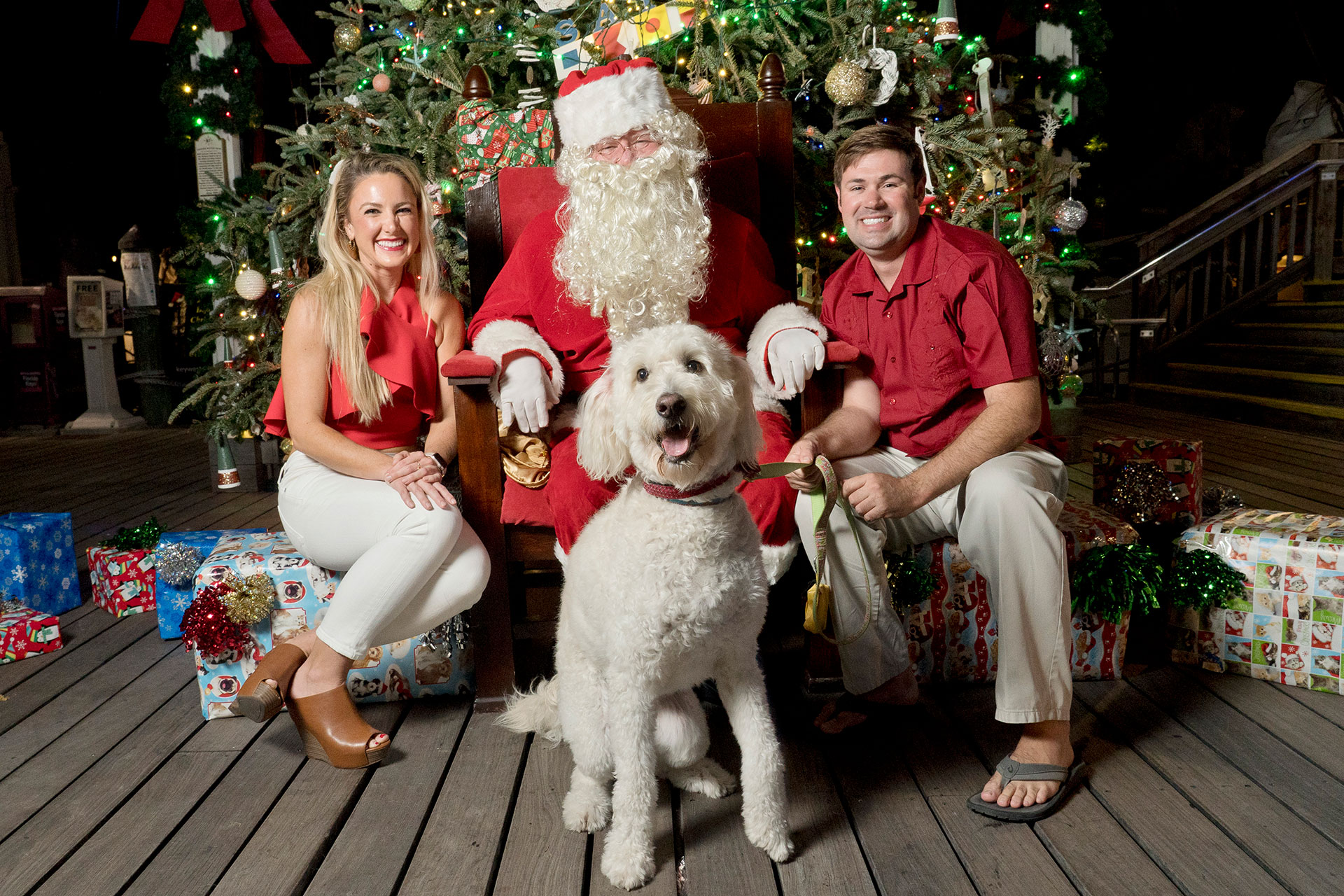 Christmas Pet Pictures with Santa in Key West Florida